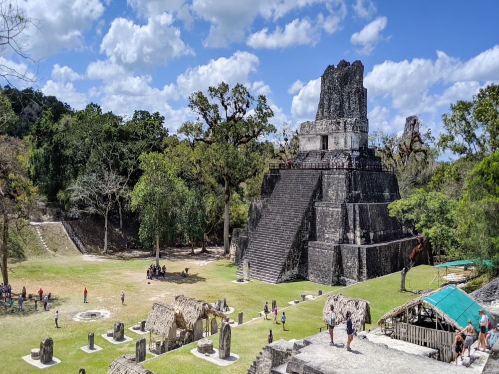 Let’s spend summer together with your teachers